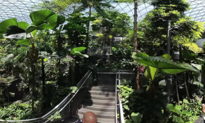 Forest Valley and Rain Vortex, Jewel, Changi Airport, Singapore - 360° Insta360 X3