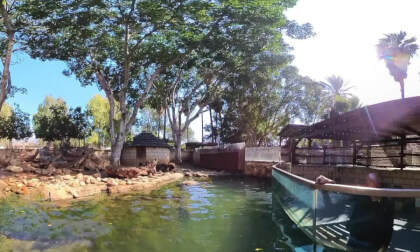 Just some cute otters playing 😍, Limassol Zoo, Limassol, Cyprus - 360° Insta360 X3