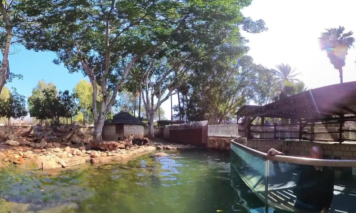 Just some cute otters playing 😍, Limassol Zoo, Limassol, Cyprus - 360° Insta360 X3