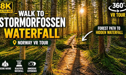 Walk to StorMorFossen Waterfall | 8K 360 VR Forest Path Norway