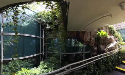 Terminal 3 Butterfly Garden, Changi Airport, Singapore - 360° Insta360 X3