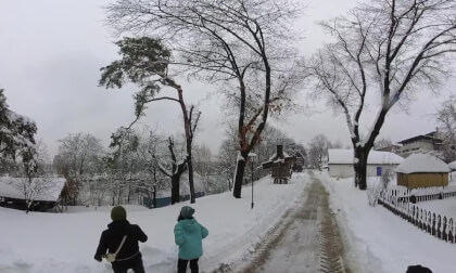 Village Museum (Muzeul Satului), Bucharest, Romania - 360° Insta360 X3