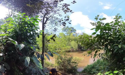 Walk at Pottas Fun Farm, Kerala, India - 360° Insta360 X3