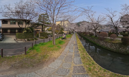 VR 360° 8K Philosophers Path Kyoto