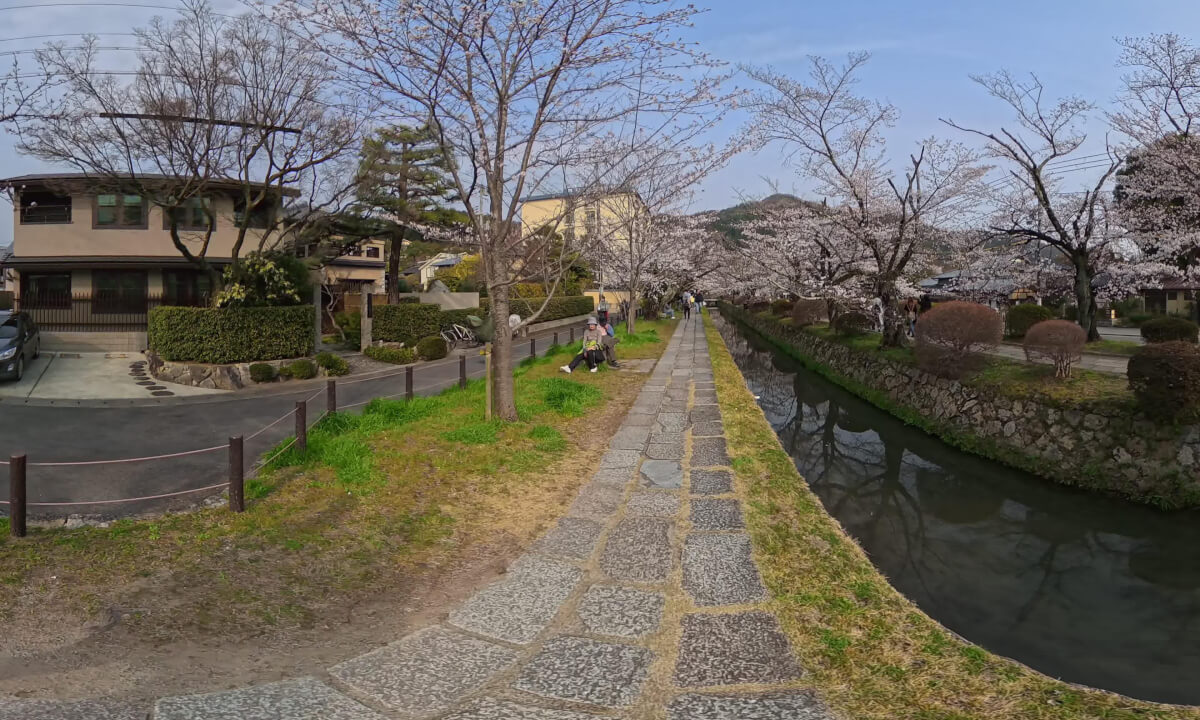 VR 360° 8K Philosophers Path Kyoto