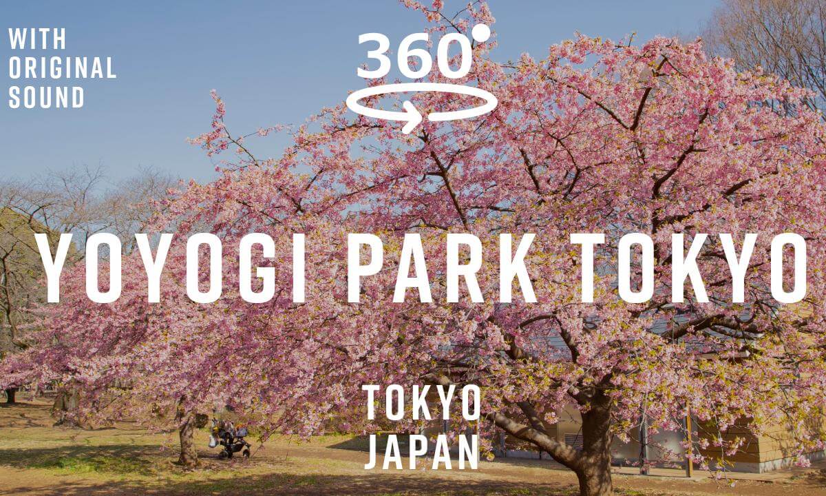 Yoyogi Park – Tokyo, Japan 🇯🇵 | 360° Walking Tour | Original Sound
