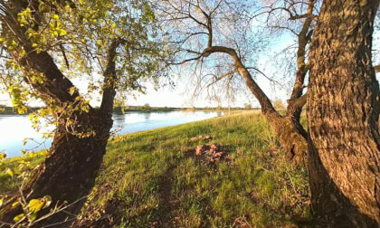 Spring is coming - Elbe at Magdeburg / Lostau