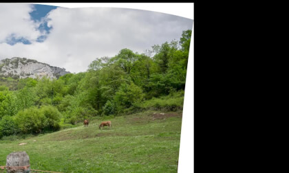 Asturias: Saliencia