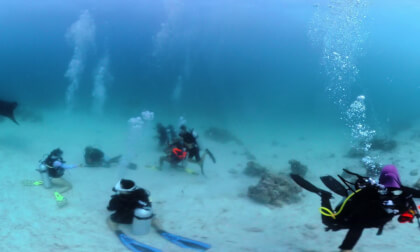 Scuba Dive with Manta Rays 🐋 | Rasdhoo Manta Cleaning Station, Maldives