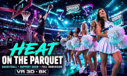 MEDIA BASKET PART II