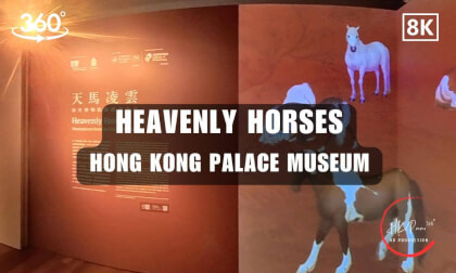 Heavenly Horses - HK Palace Museum Exhibitions 2026 | 8K 360VR