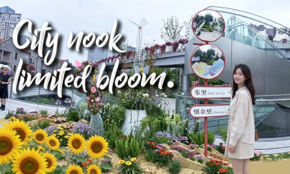 city nook  limited bloom, Flower Display & Market Fair