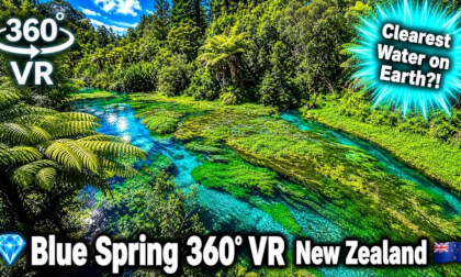 [New Zealand] Blue Spring 360° VR - Clearest Water on Earth?! Putaruru Tapapa