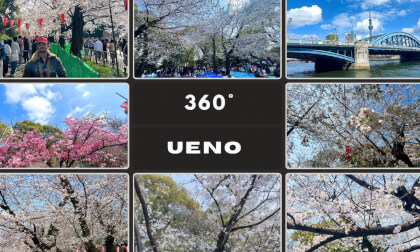 🌸360° Ueno Park & Sumida River Tokyo 🇯🇵 | Cherry Blossoms & Riverside Views | Tokyo | Japan