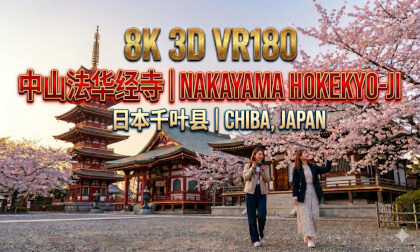 8K3D VR180 | Sakura at Nakayama Hokekyo-ji, Japan | 日本中山法华经寺·樱花