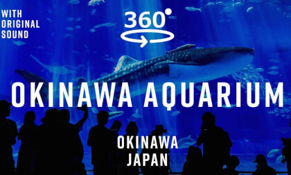 Okinawa Churaumi Aquarium – Okinawa, Japan 🇯🇵 | 360° Walking Tour | Original Sound