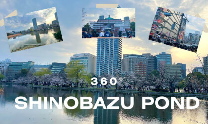 🌸 360° Shinobazu Pond Tokyo 🇯🇵 | Peaceful Nature & Cherry Blossom Views | Complete 360° Experience 🚣