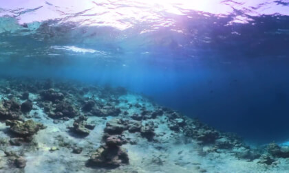 360° Snorkeling in Kurumba Reef Maldives 🐠 | Colorful Tropical Fish Near kurumba resort