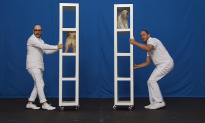 OK Go - White Knuckles (2010)