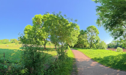 VR360 - 8K - Allonnes Boulevard Nature - 8 mai 2026_360