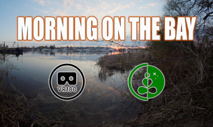 Morning on the Bay | VR180 Nature Experience