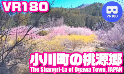 [VR180] The Shangri-La of Ogawa Town, JAPAN - 小川町の桃源郷