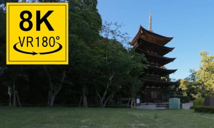 VR 180° 8K 3D Five-storied pagoda（瑠璃光寺 五重塔）