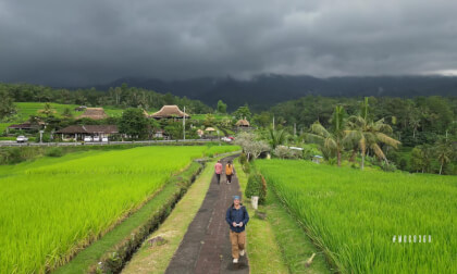 Jatiluwih Rice Terrace - Bali