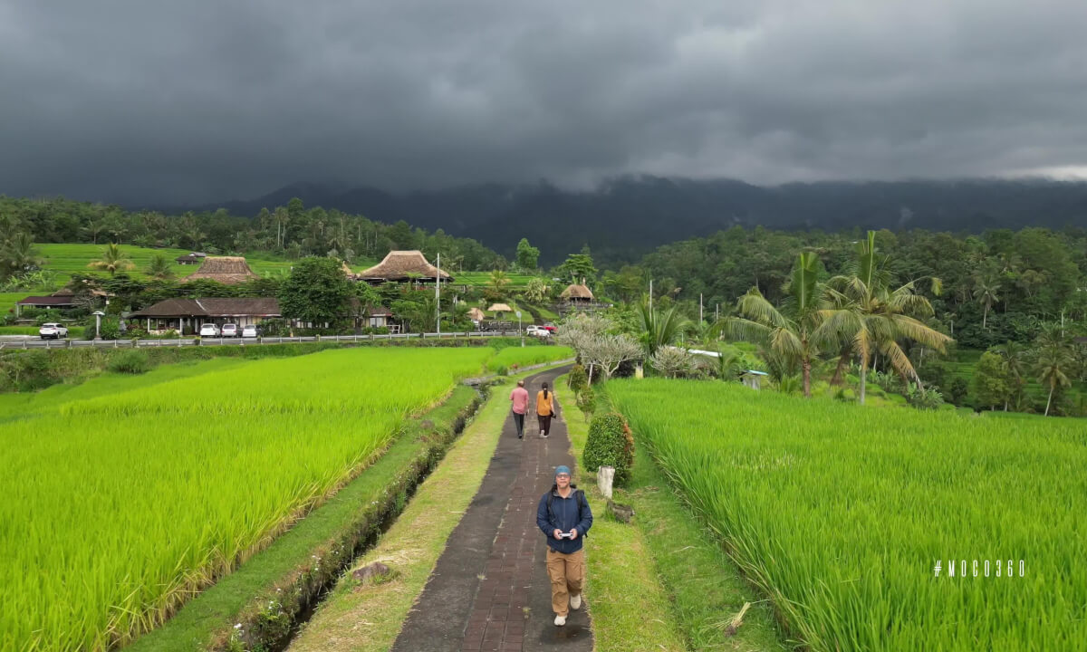 Jatiluwih Rice Terrace - Bali