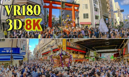 Tokyo Ueno , Procession of the large portable shrine at the  "Shitaya Shrine Annual Festival"  in JAPAN
