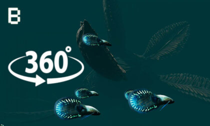 Unexplored Oceans 360° VR | BEthere Experience Series Episode 1