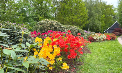 Arboretum Poort Bulten
