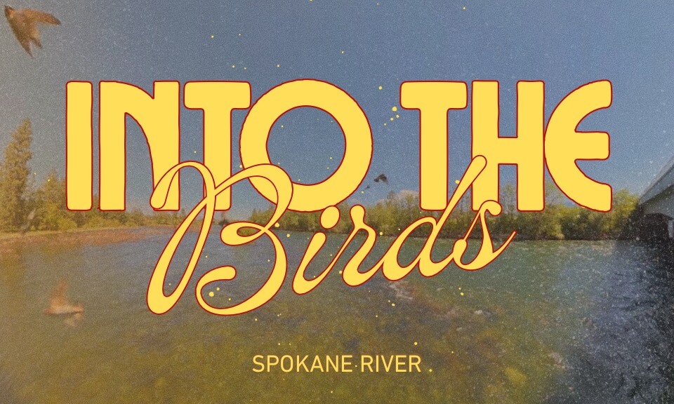 Spokane River - Otis Orchards May 2026 VR360 8k Immersive