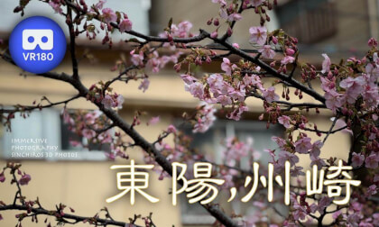 Toyo, Susaki