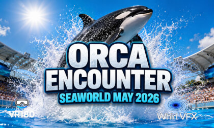 Orca Encounter at SeaWorld | May 2026 Whale Show | 3D 8K 180VR