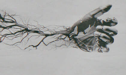 Hallucinophonics - Born on a Train  (Official Music Video)