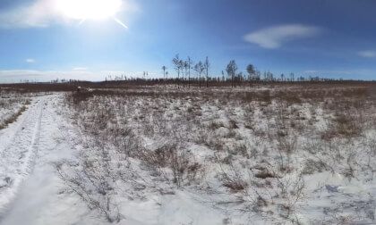 in the taiga on an ATV, we caught up with wild goats