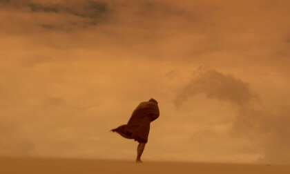 Hallucinophonics - C`est La Vie (Official Music Video)