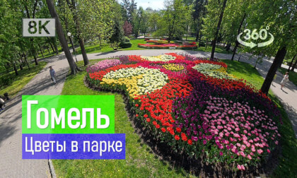 Belarus, Gomel | 2026-05-08 P01 VR-360° 8k