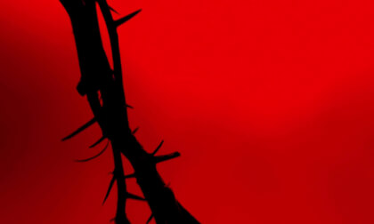 Hallucinophonics - Crimson Crown (Official Music Video)