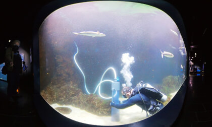 Volunteer diver cleans an aquarium while fish swim around him 360VR VR Video Volunteer diver cleans an aquarium while fish swim around him 360VR VR