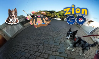 Zaion’s First Day as a Pokémon Trainer