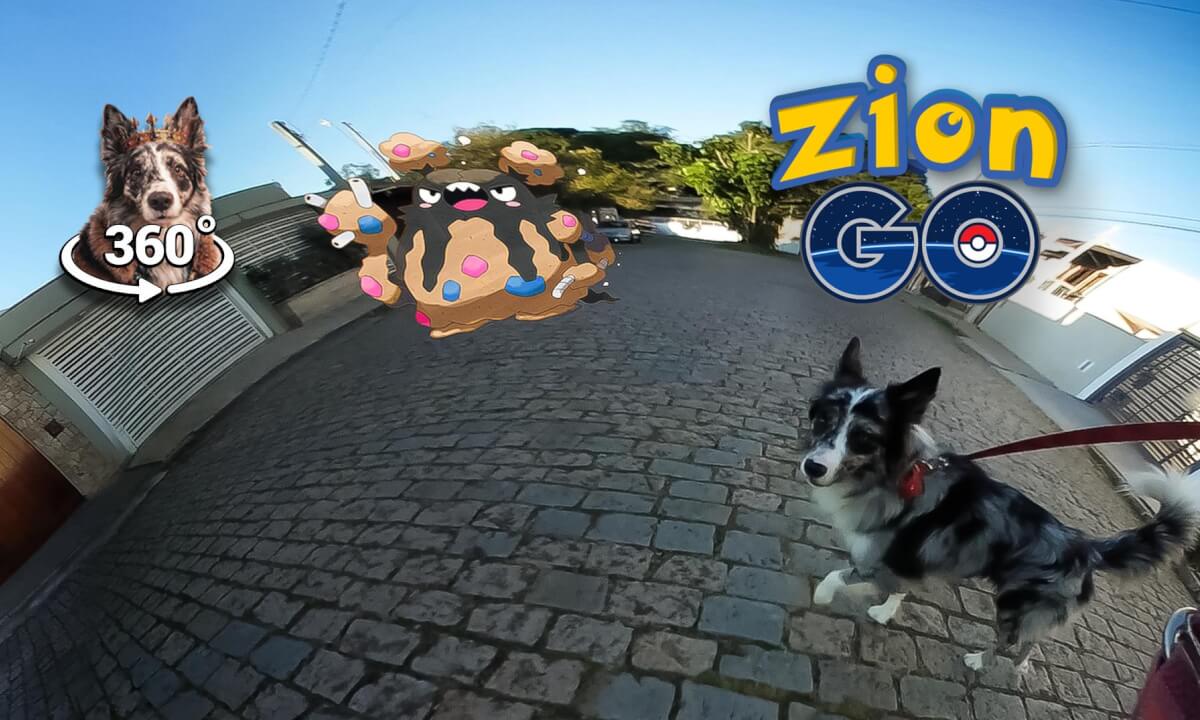 Zaion’s First Day as a Pokémon Trainer