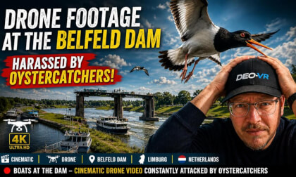 Cinematic Drone Flight at Belfeld Dam Under Bird Attack!