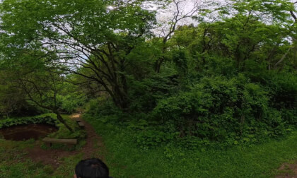 Healing Walk at Woojinjebi Oreum, Jeju Island: Filled with Birdsong