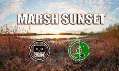 Marsh Sunset | VR180 Nature Experience
