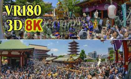 The joint procession of 100 portable shrines  at Sanja Matsuri Festival Day 2,2026 in Asakusa, Tokyo