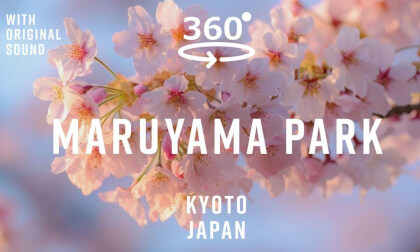 Maruyama Park & Kyoto City – Kyoto, Japan 🇯🇵 | 360° Walking Tour | Original Sound
