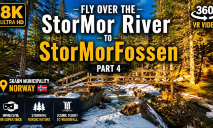 8K 360 VR Norway Forest River Flight Part 4 | Deep Nordic Nature Relaxation & Ambient Journey