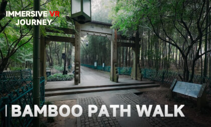 【Preview 预告】Bamboo Path 漫步竹林 | 8K VR180⁠